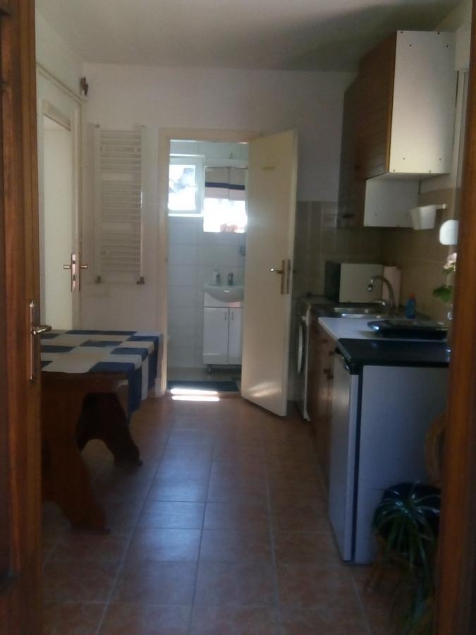 Marijana - Center Apartment Novi Sad Bagian luar foto