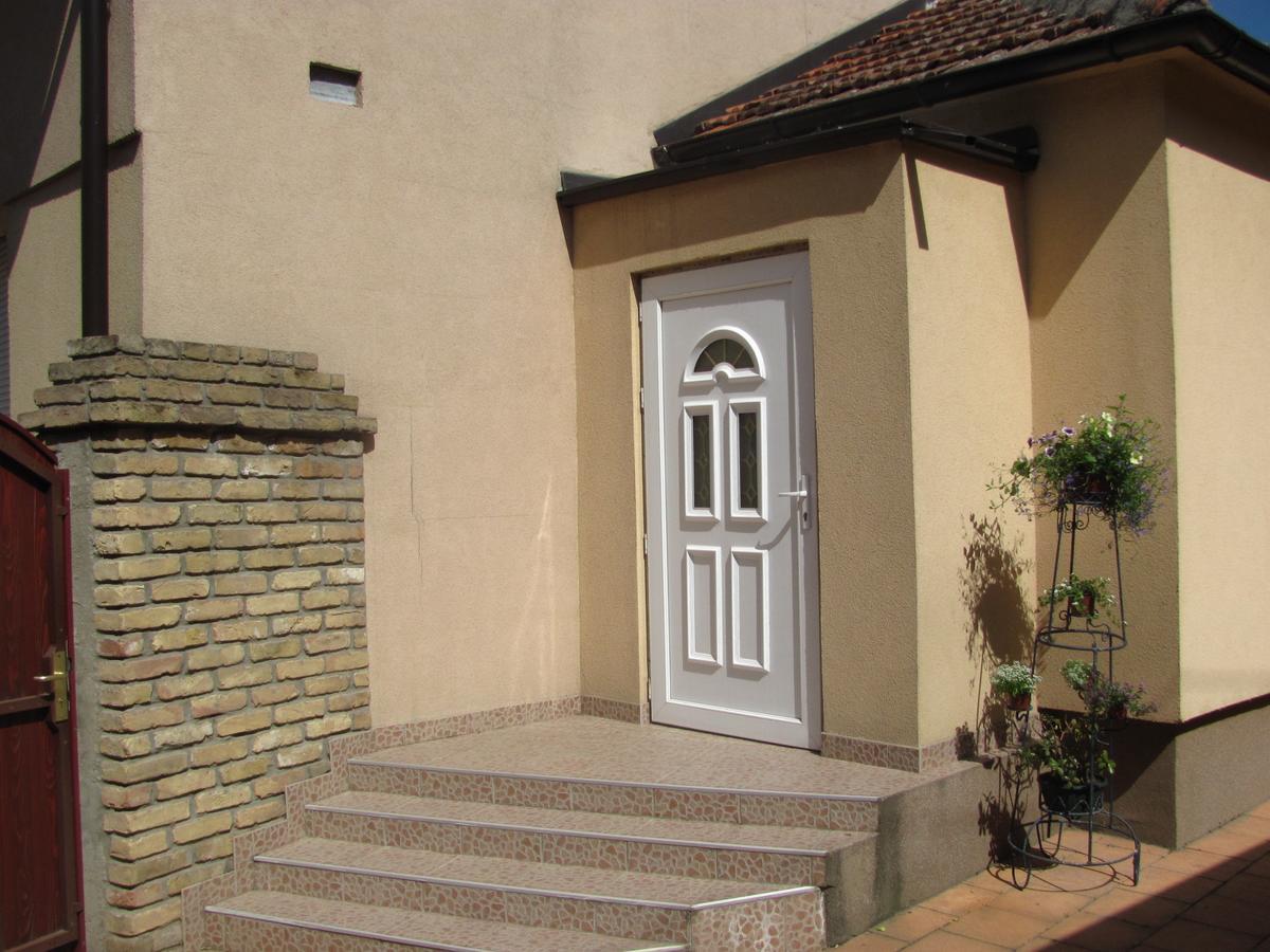 Marijana - Center Apartment Novi Sad Bagian luar foto