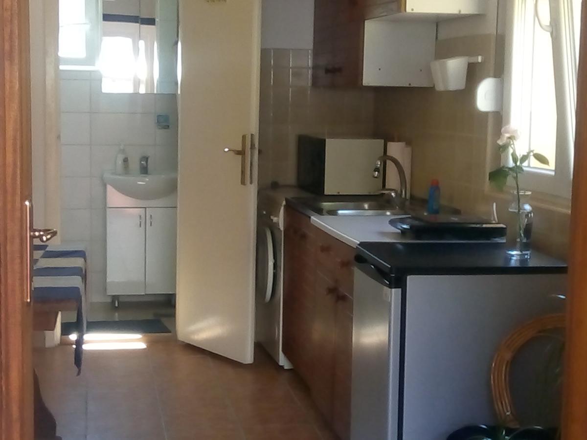 Marijana - Center Apartment Novi Sad Bagian luar foto