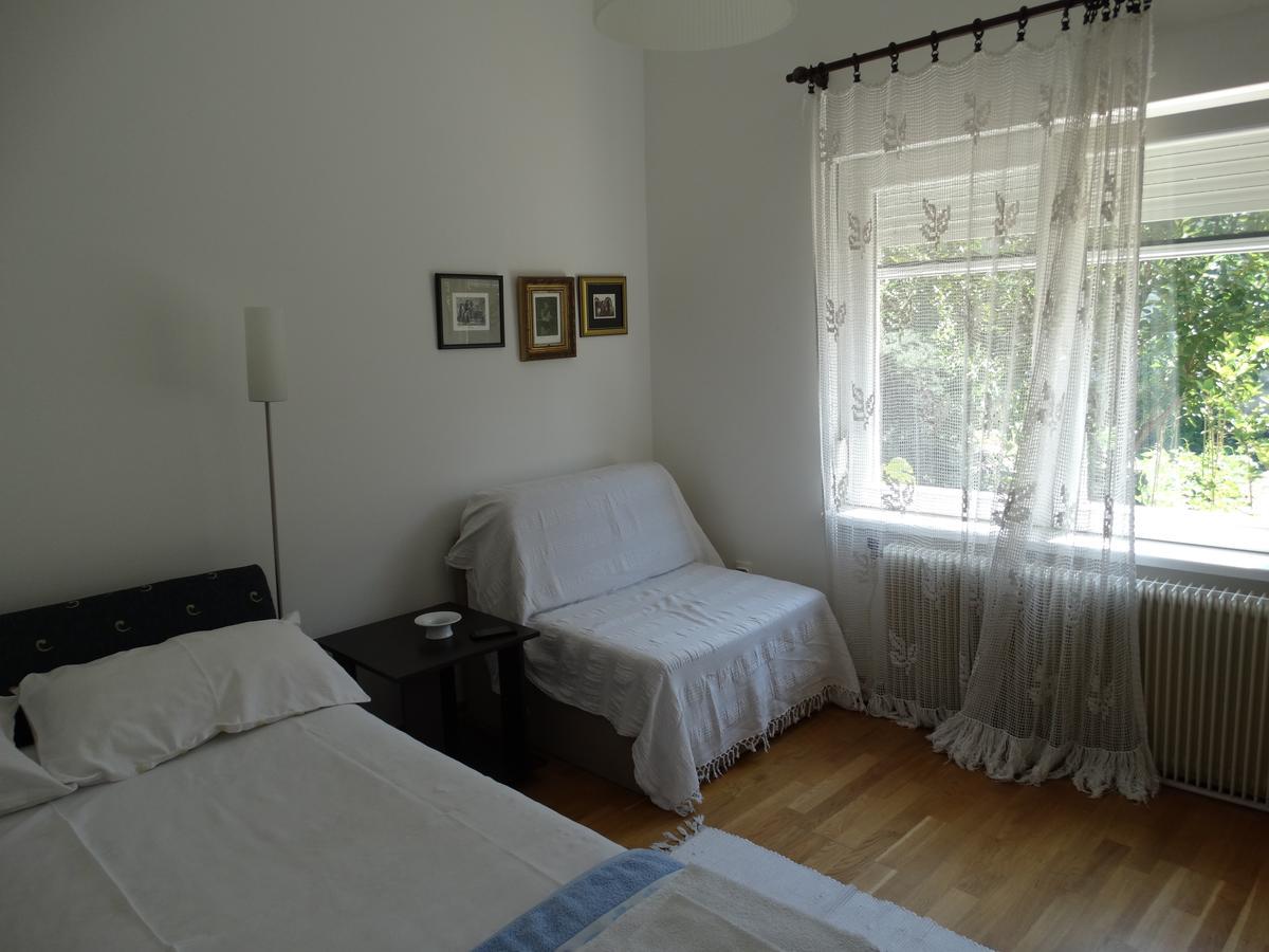 Marijana - Center Apartment Novi Sad Bagian luar foto